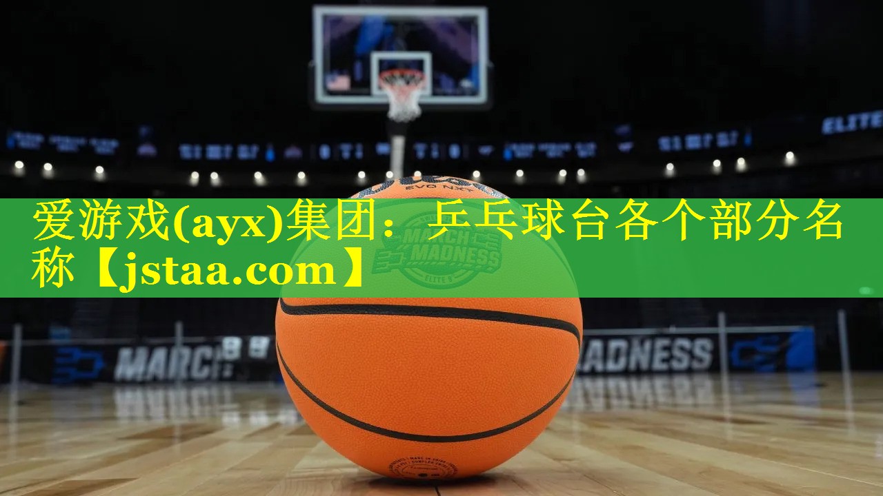 爱游戏(ayx)集团：乒乓球台各个部分名称