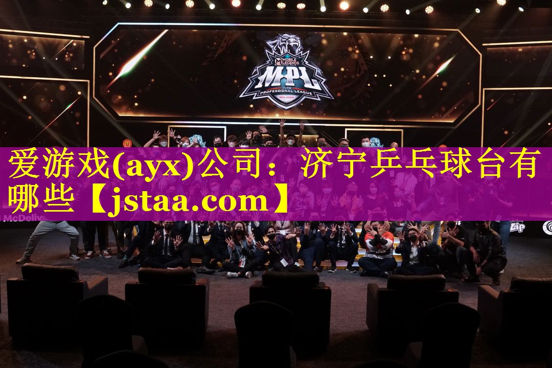 爱游戏(ayx)公司：济宁乒乓球台有哪些