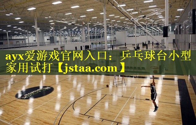 ayx爱游戏官网入口：乒乓球台小型家用试打