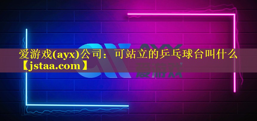 可站立的乒乓球台叫什么