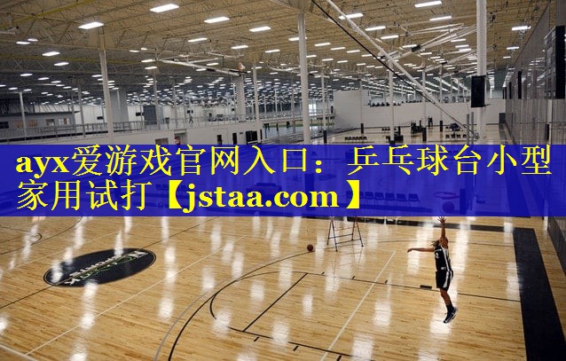 乒乓球台小型家用试打